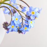 本子 漫画家:探索创作灵感与绘画技巧的奇妙旅程 1s1d7p88