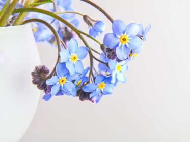 本子 漫画家：探索创作灵感与绘画技巧的奇妙旅程