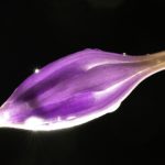 深入评测:Sony 24-50mm 镜头的性能与使用体验 1sq0h