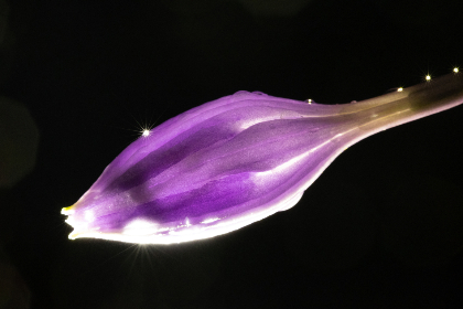 深入评测：Sony 24-50mm 镜头的性能与使用体验