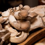 每日热搜榜:揭示当日最受关注的热门话题 2c11t2