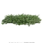 深入解析:ohhhh是什么意思及其在不同语境中的用法 5aatv