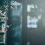 校园春色作文:在春风中感受校园的生机与美丽 6eji6lt476