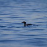 有趣的网站大全:探索互联网中的奇趣世界与实用资源 6g88v3lj