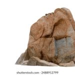 朋友的母亲 李采谭:她的故事如何影响了我的人生选择 7ejwp04r7