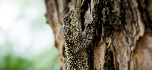 深色裸色调：打造优雅自然妆容的完美选择