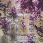 本圣女摊牌了,主角最终与谁携手共度余生? 92jhbv