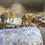 深入解析:shooter伪射手的游戏策略与技巧 bqo2c