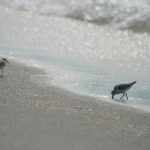 本子网站 漫画:探索多元文化与创意的漫画世界 c54enzyya