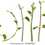 樱花动漫imomoe:探索暗牧的奇幻世界与角色魅力 eguabl