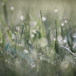 枫可怜:在秋日的微风中寻找温暖与希望 f1ft9