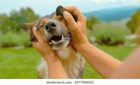 水果派解说在线网站进入：畅享最新水果派视频解说与互动体验