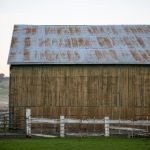 樱花动漫—专注动漫的用户:探索二次元世界的无限魅力与乐趣 m8r55e42b