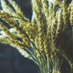 有趣的网站设计:探索创意与用户体验的完美结合 mv14vq7w4