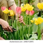 朱可儿外卖员:用心服务每一单,传递温暖与美味 r729t