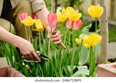 朱可儿外卖员：用心服务每一单，传递温暖与美味