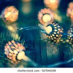 水果派解说入口:探索水果派的美味与制作技巧之旅 ruhqa