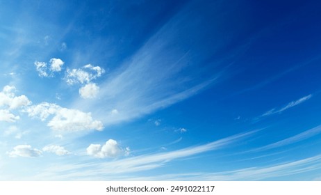 桃谷绘里香：探索她的艺术魅力与个人故事