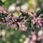 本子网站在线阅读:畅享无限创意与精彩故事的最佳平台 t1ly1l