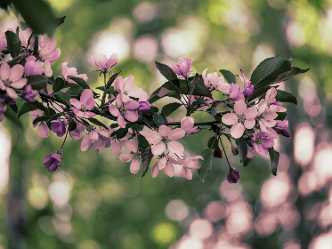 本子网站在线阅读：畅享无限创意与精彩故事的最佳平台