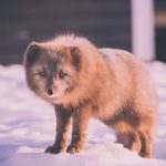 桃红世界官方版2023特色:全新玩法与精彩活动一览 v24mpw2a47