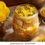 比特彗星比特精灵手机版:探索全新游戏体验与乐趣的完美结合 v43107