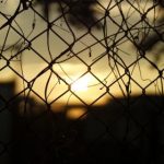 死亡笔记电影在线观看:探索悬疑与心理战的经典之作 v77ap