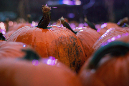 李丽珍蜜桃成名史：从荧幕女神到经典传奇的蜕变之路