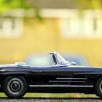 梅花红桃的生长特性与栽培技巧简介 xdzwm