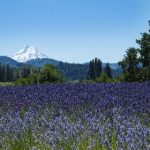 每天进步一点点,追寻天天向上的人生 xyp9iltt8