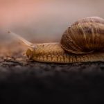 朋友的丈夫2:揭开隐藏在友谊背后的秘密与真相 yov9311d70