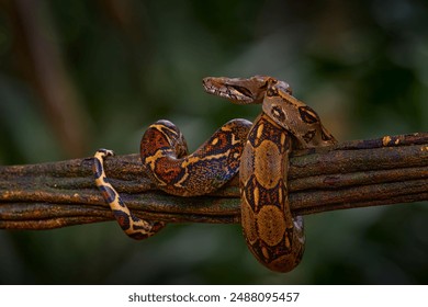 畅享精彩：全网电影大全在线观看平台推荐