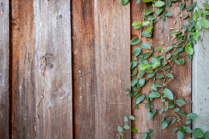 畅享美剧在线免费观看，尽情追剧无压力