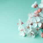 畅享精彩漫画合集,免费观看尽情体验 9eg2p