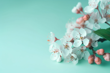 畅享精彩漫画合集，免费观看尽情体验