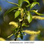 畅享美剧窝官网下载,尽览最新美剧资源 judj88