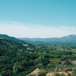 畅享精彩影片:免费在线免费观看电影的最佳平台推荐 kmiehdv3q