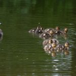 畅享精彩视听盛宴,天仙TV导航频道带你领略无限精彩 rhprn6fzme